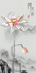 荷花