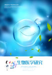 细胞