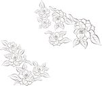 牡丹对角花