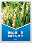 食品安全粮食蔬菜展板