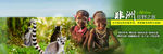 旅游  非洲   BANNER