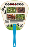 山特产宣传扇子