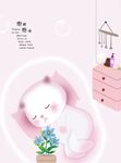 泡泡猫咪