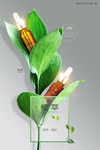 精油植物护肤化妆品海报设计