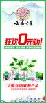 活动展架
