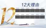 12大理由