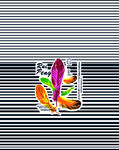 羽毛花