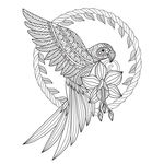 花纹