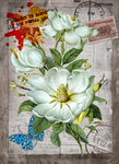 花卉装饰画