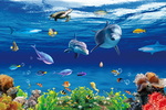海洋生物