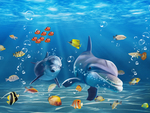 海底世界