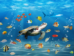 海底世界