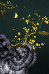 装饰画