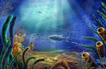 海底世界梦幻海