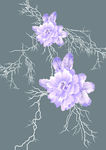 花