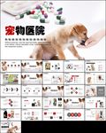 宠物美容宠物医院宠物店PPT