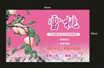 雪桃彩页