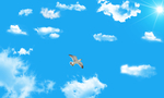 天空
