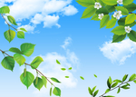 天空