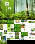 森林宣传低碳日主题班会ppt