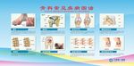 骨科常见疾病图谱