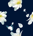 小碎花 数码印花 花朵
