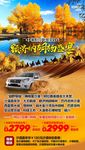 胡杨林01
