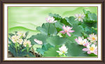 国画荷花