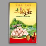 土鸡蛋