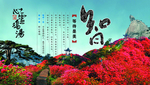 麻城龟峰山杜鹃花海心灵鸡汤