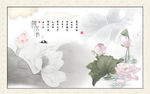 荷花背景
