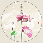 荷花插画