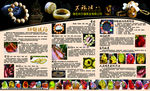 缅甸琥珀形象墙