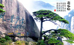 黄山迎客松