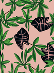 数码印花 热带植物 棕榈树叶