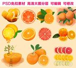橘子素材大全