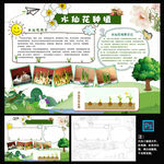 水仙花生长日记小报