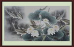 国画荷花