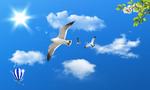 天空
