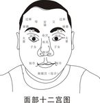 面部穴位图