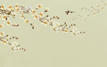 玉兰手绘花鸟