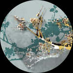 园形梅花装饰画
