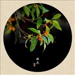 桂花