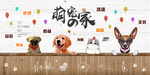宠物店背景墙装饰画