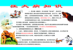 狂犬病知识