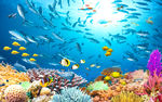 海底世界海豚电视背景墙