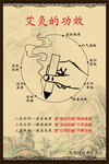 艾灸功效展板分层平面图