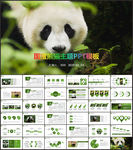 保护动物吃竹子国宝熊猫野生动物