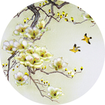 玉兰花鸟画