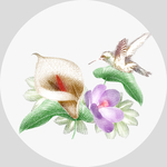 清新花鸟装饰画